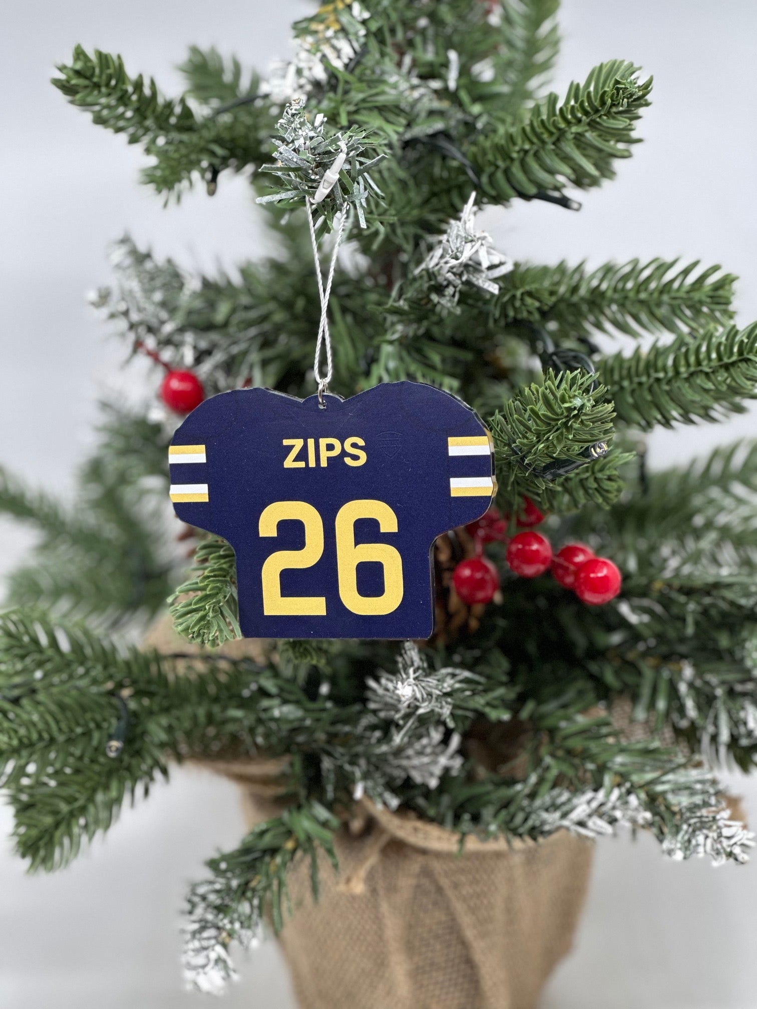 Custom Ornament Football Jersey