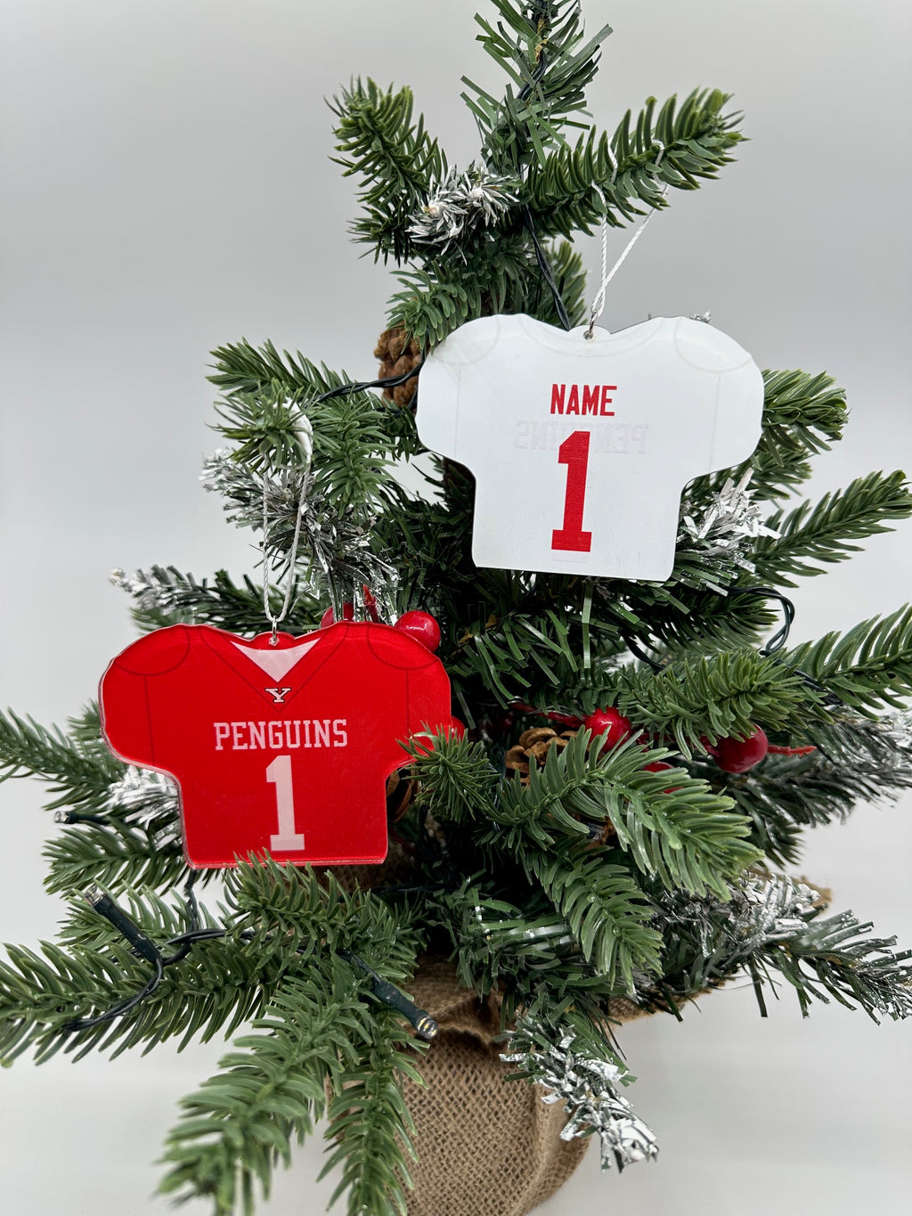 Custom Youngstown State Football Jersey