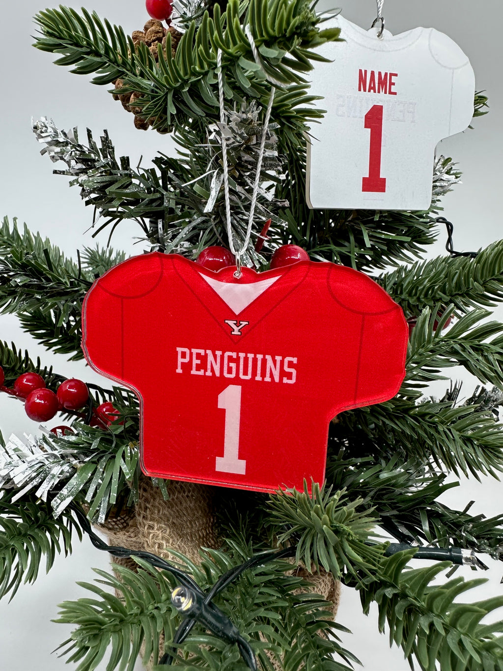 Custom Youngstown State Football Jersey