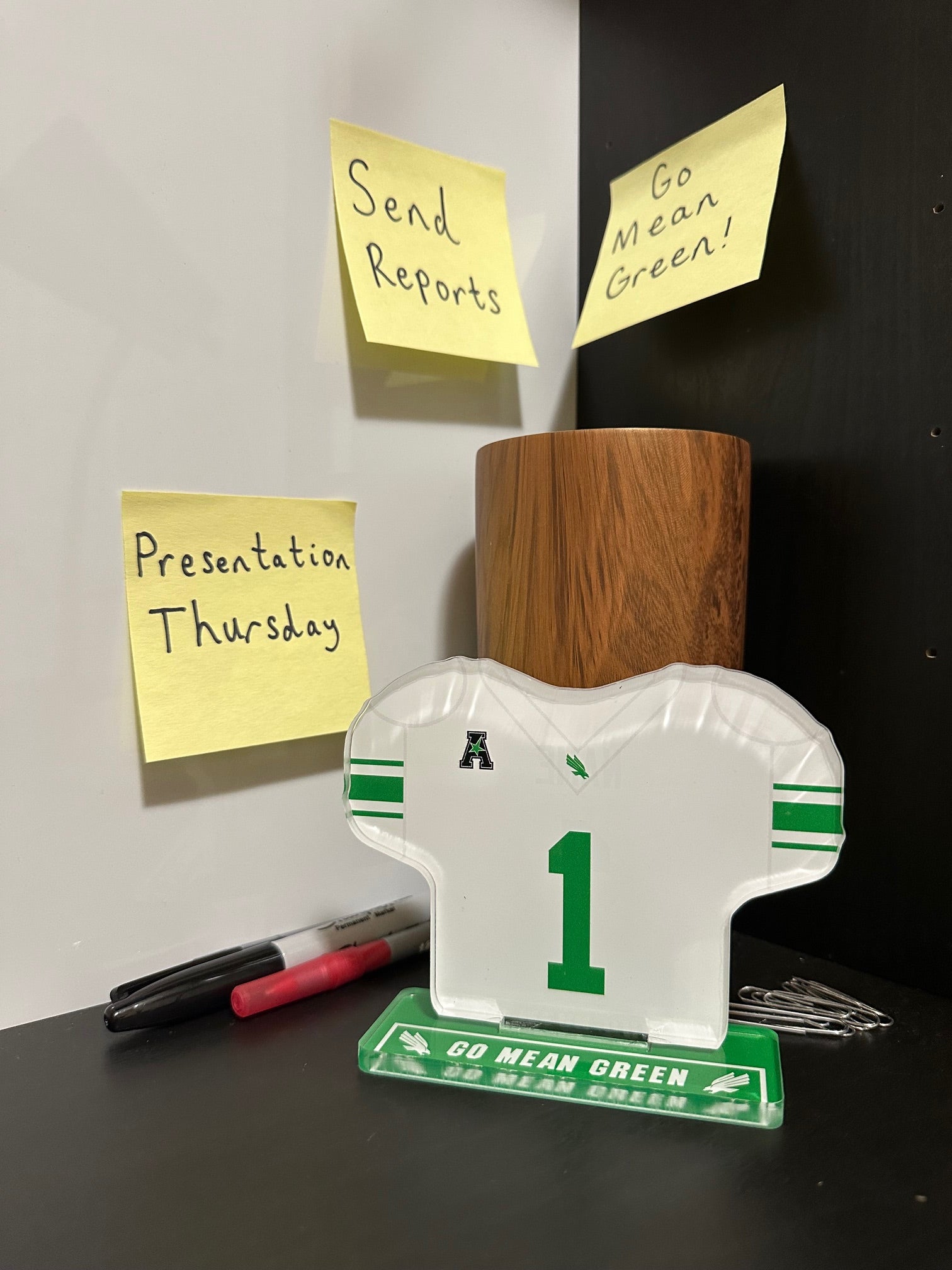 Custom UNT Football Jersey