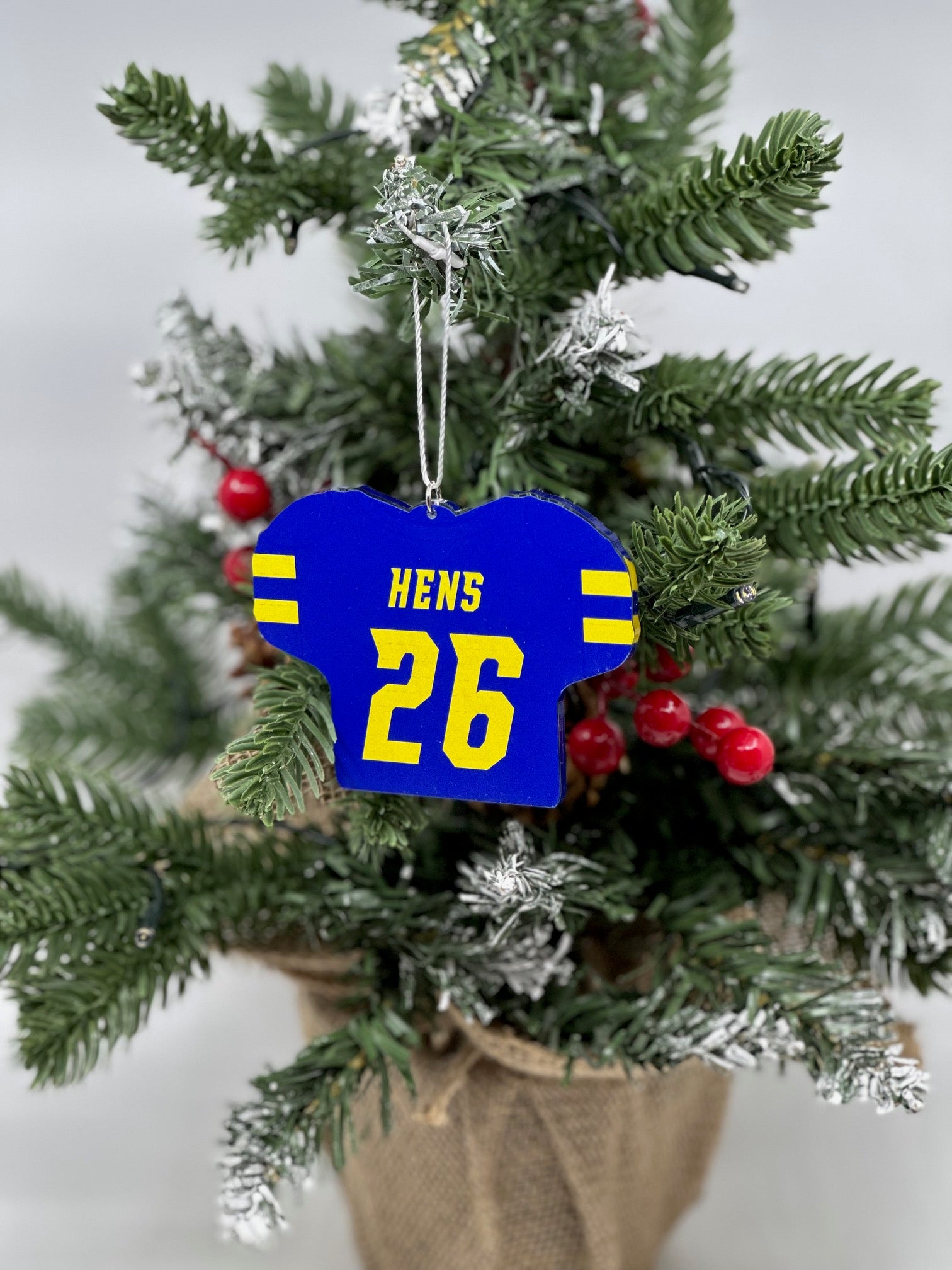 Custom Ornament Football Jersey