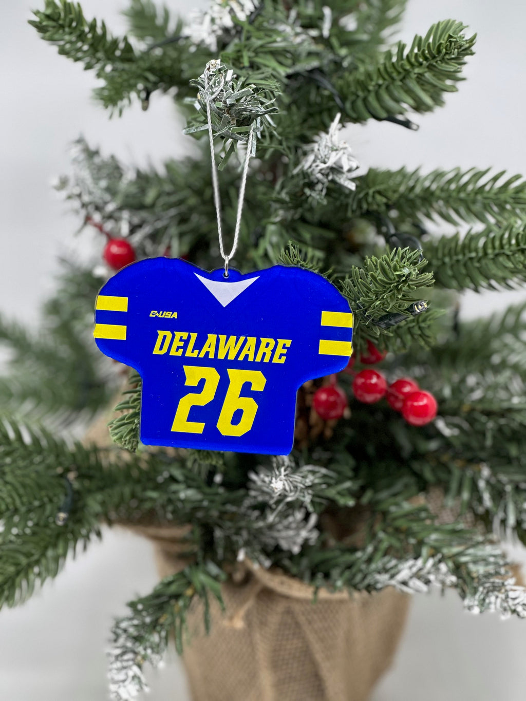 Custom Ornament Football Jersey