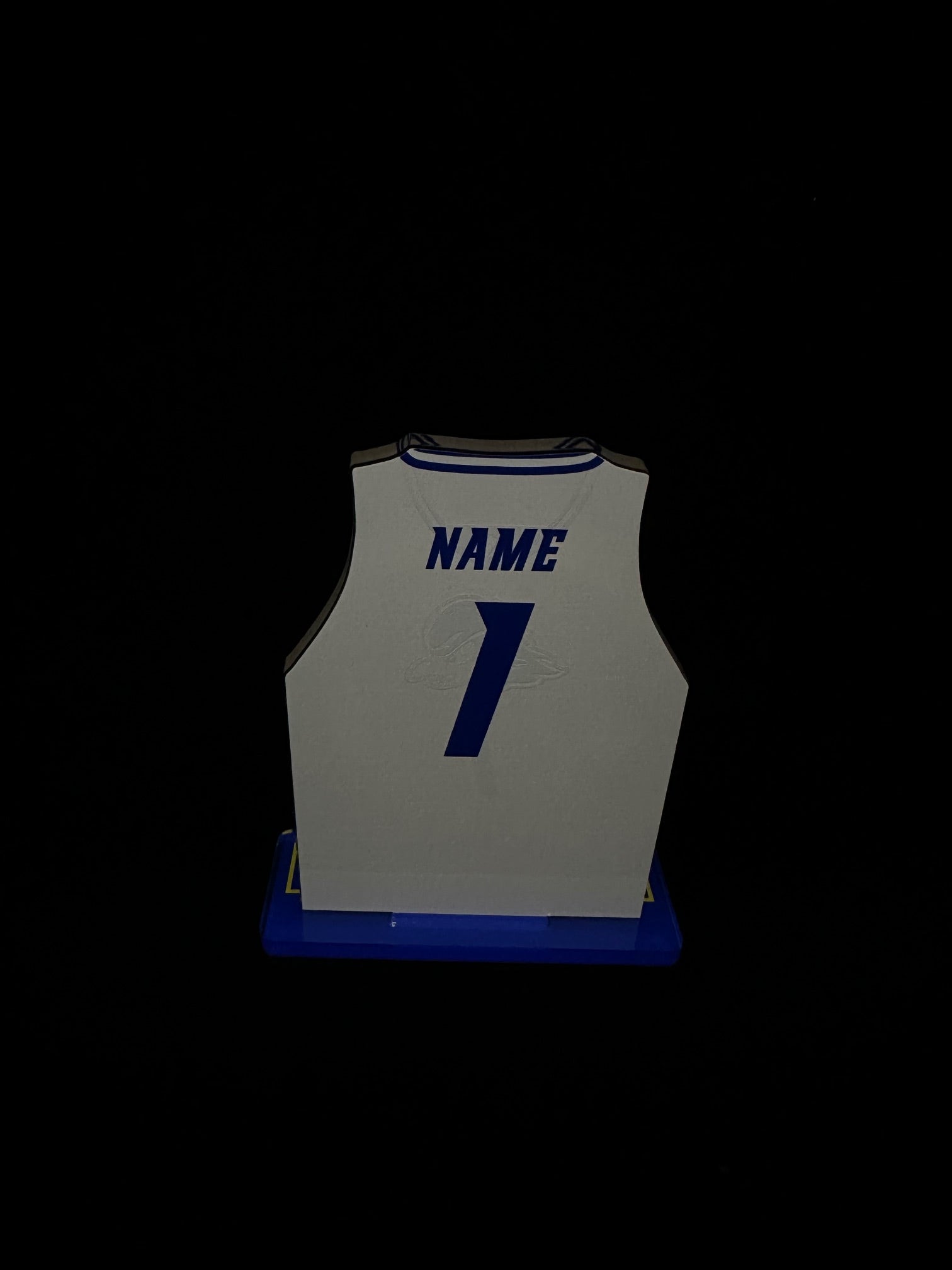Custom Delaware Basketball Jersey