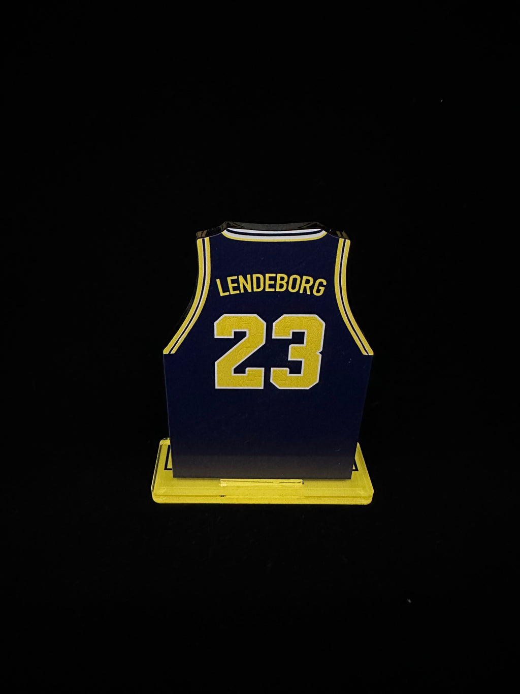 Yaxel Lendeborg Michigan Basketball Jersey
