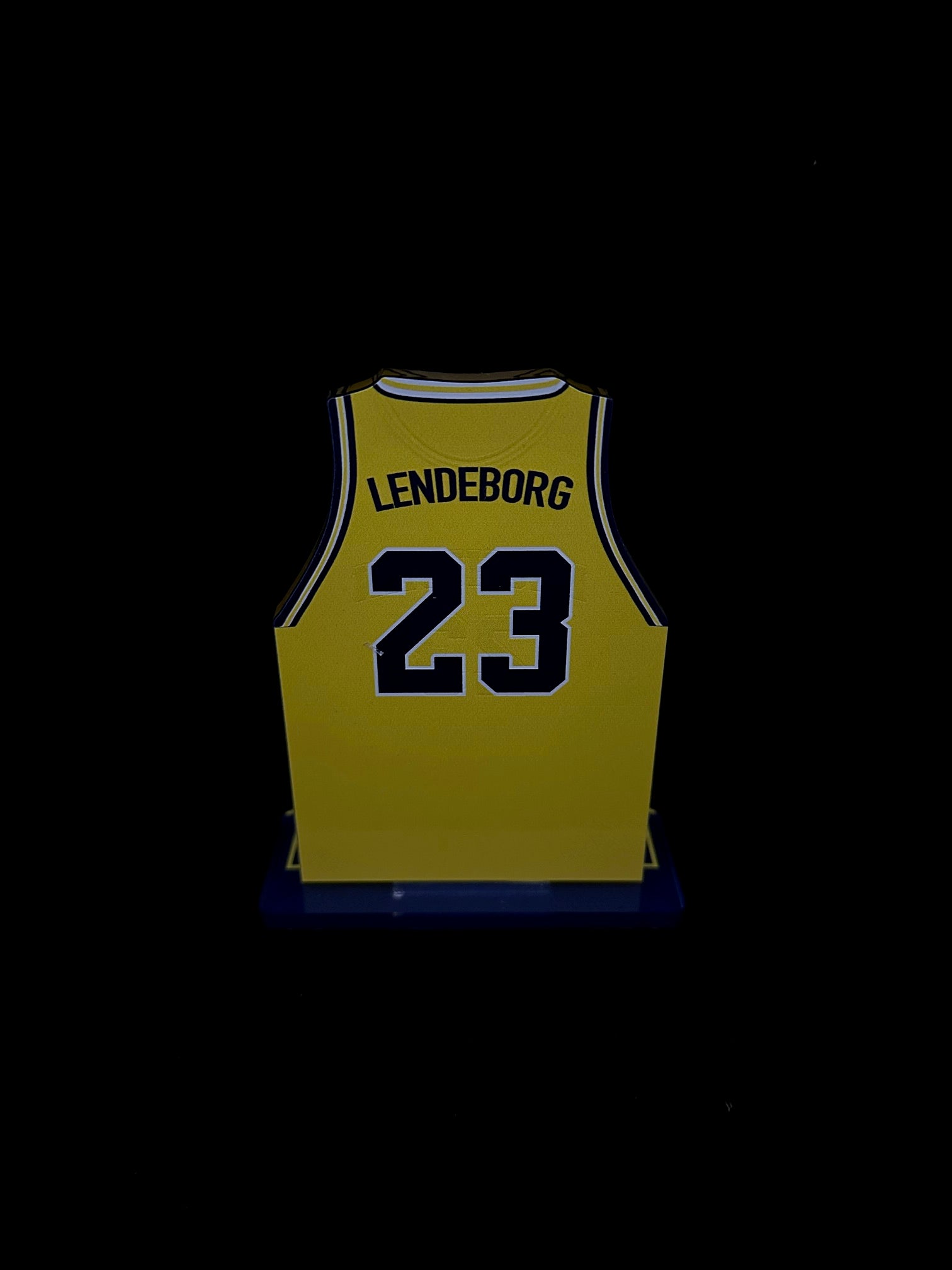 Yaxel Lendeborg Michigan Basketball Jersey