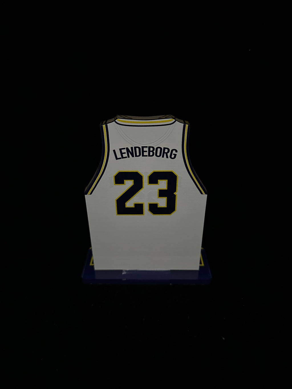 Yaxel Lendeborg Michigan Basketball Jersey