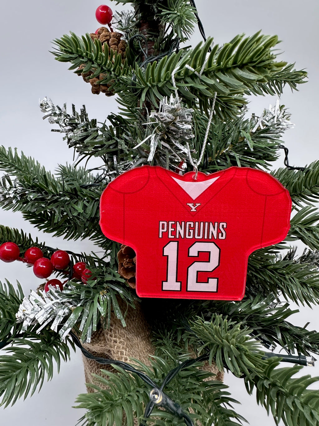 Beau Brungard Official NIL Jersey Ornament