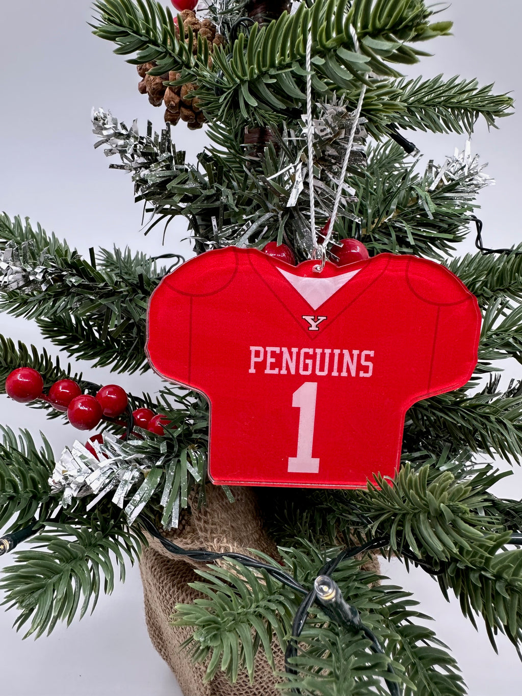 Custom Youngstown State Football Jersey
