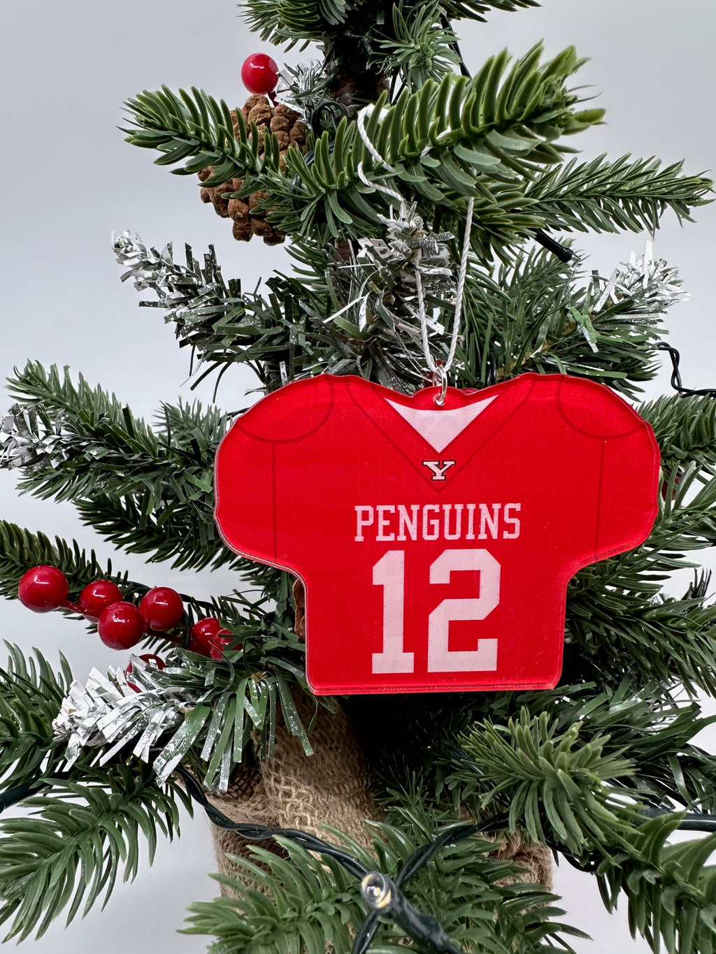 Beau Brungard Official NIL Jersey Ornament