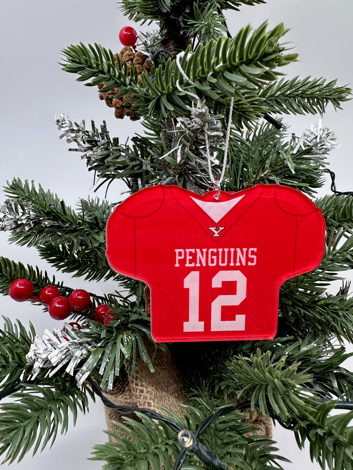 Beau Brungard Official NIL Jersey Ornament