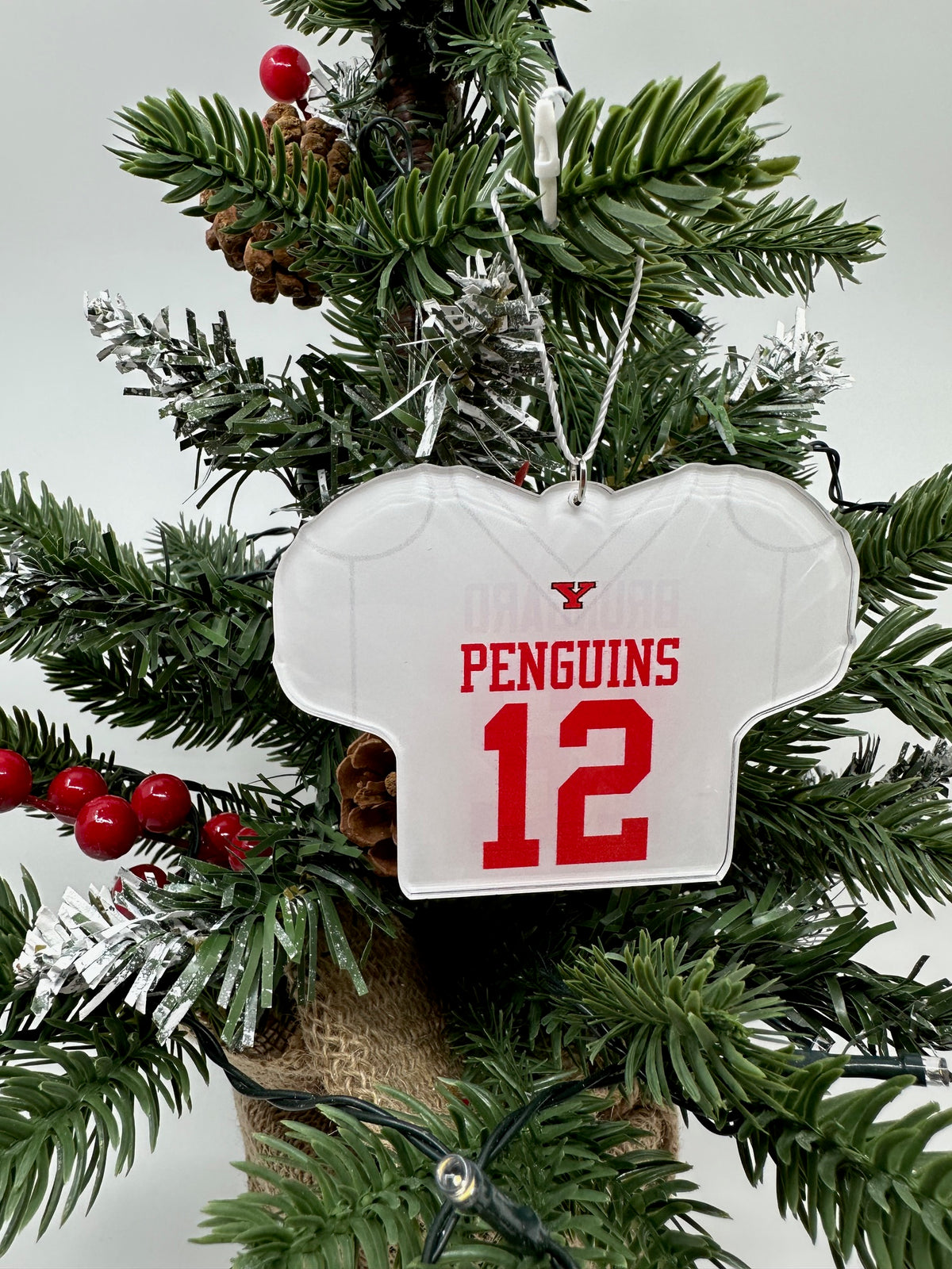 Beau Brungard Official NIL Jersey Ornament
